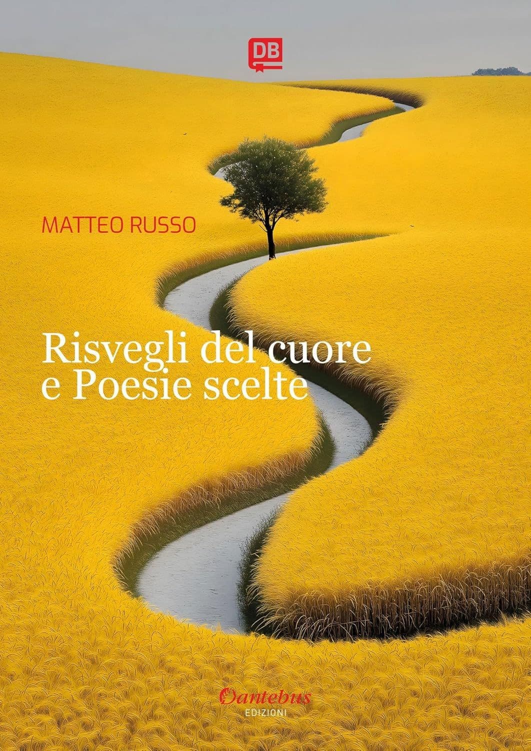 Libro "Risvegli del cuore e Poesie scelte" di Matteo Russo Libro "Risvegli del cuore e Poesie scelte" di Matteo Russo