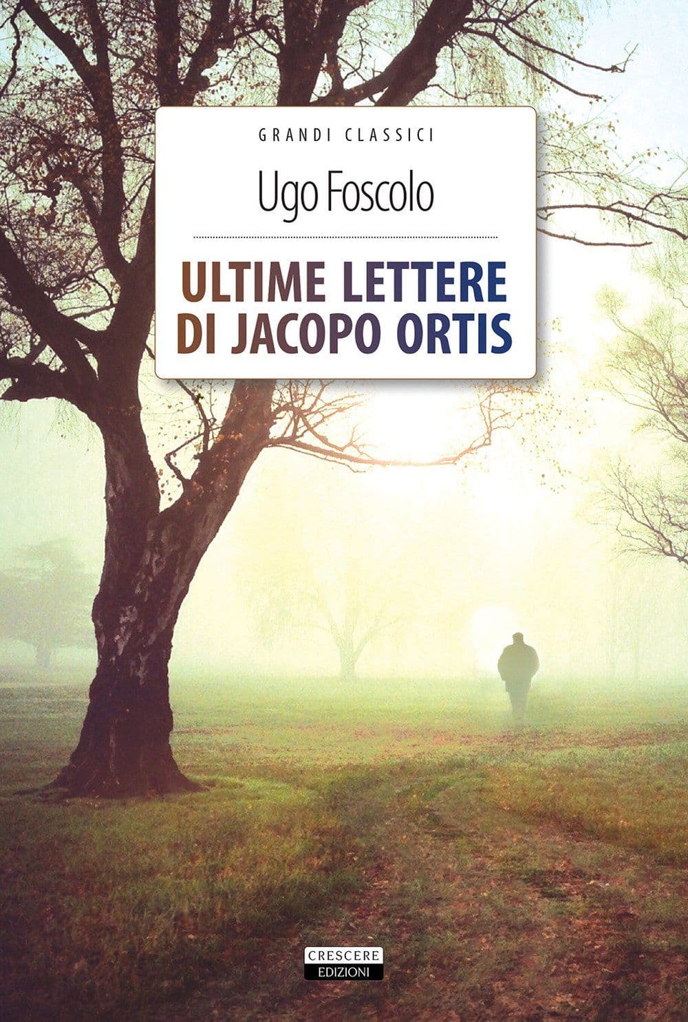 Libro "Ultime lettere di Jacopo Ortis" di Ugo Foscolo Libro "Ultime lettere di Jacopo Ortis" di Ugo Foscolo